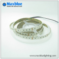 O mais popular DC12 / 24V SMD LED Strip Light com Ce RoHS